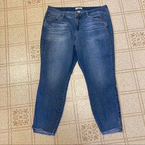 plus size VINTAGE AMERICA BLUES JEANS